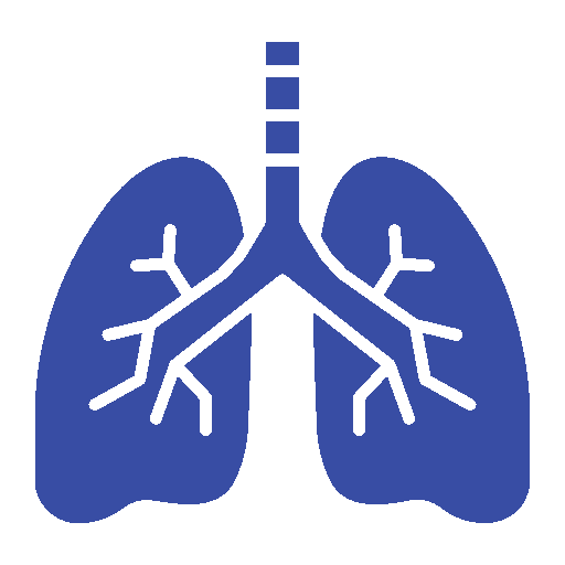 أيقونة تخصص صدر و جهاز تنفسي